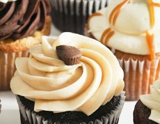 cupcakes-for-large-website-final.jpg